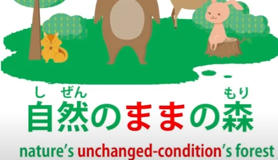 Pasted image 20250608085101.png